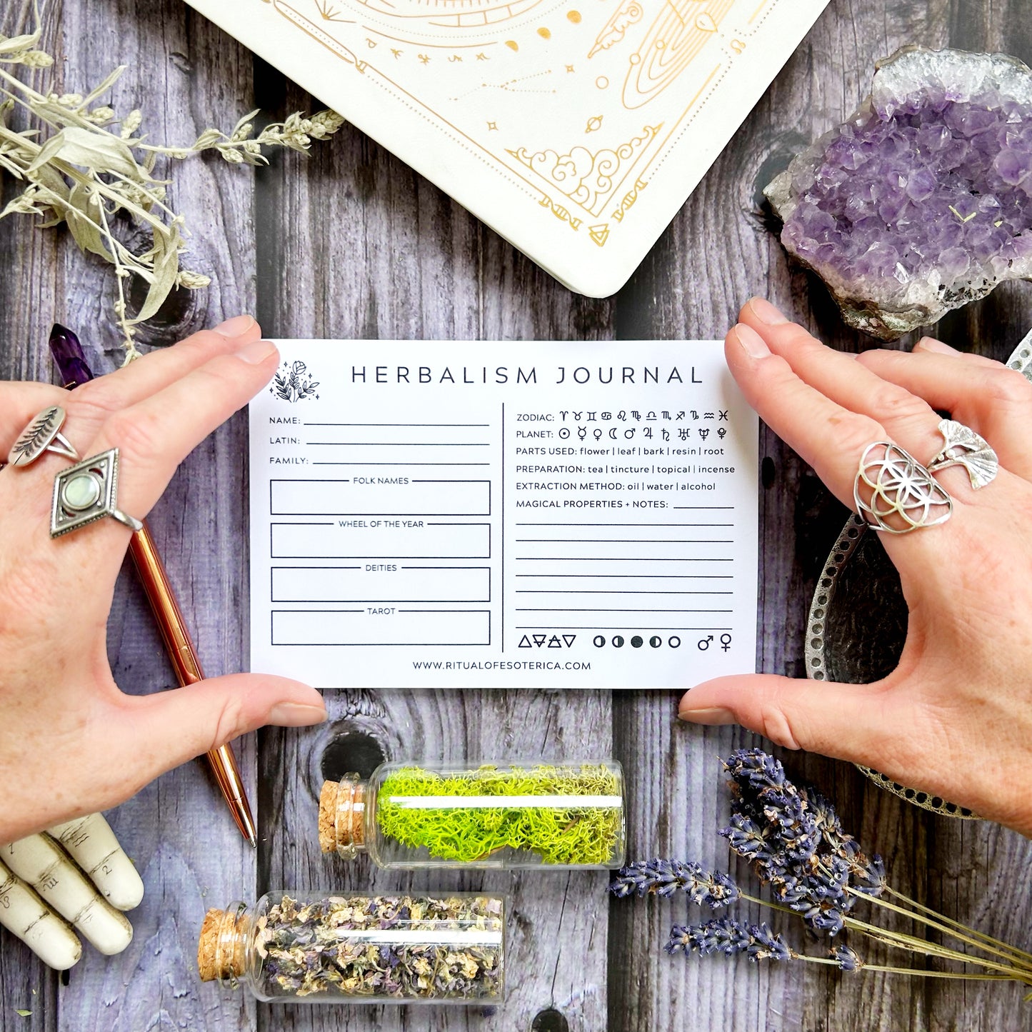Herbalism Journal Sticky Notepad